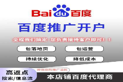 百度竞价广告的投放成本与ROI分析案例